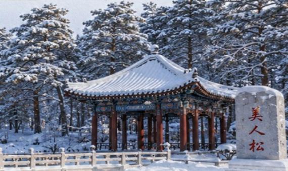 美人松公園